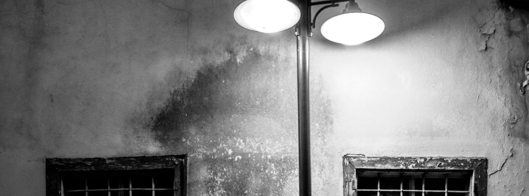 pexels-aysegul-aytoren-46790226-34706403