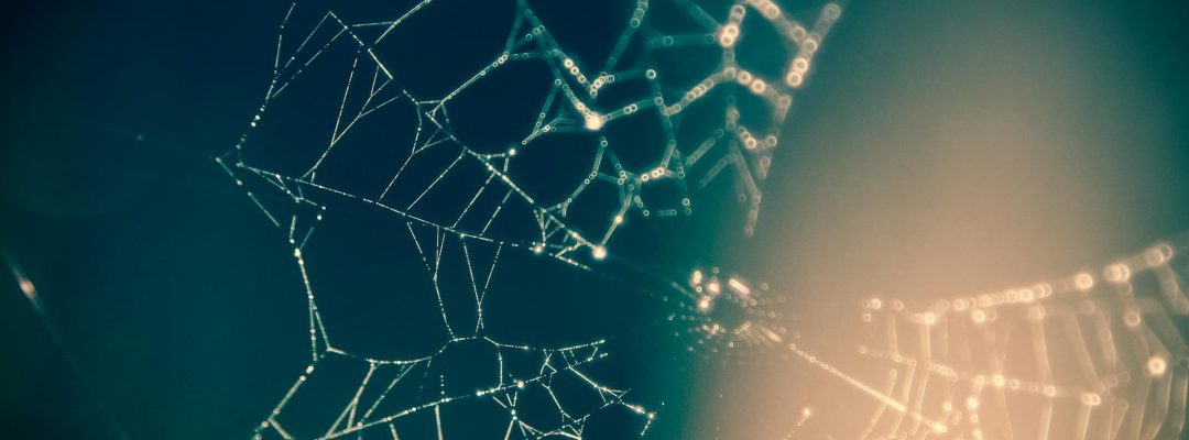 pexels-chivozol-43727-167259