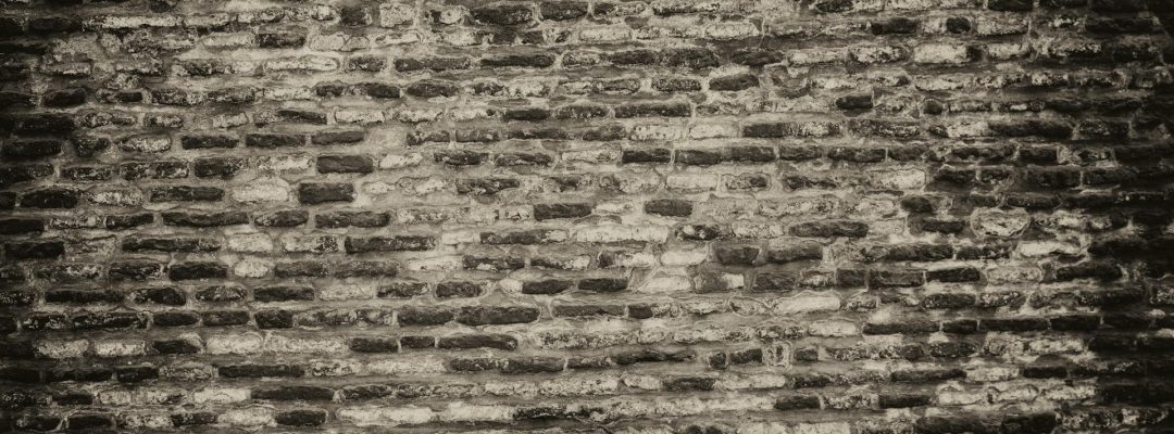 pexels-frans-van-heerden-201846-1022692