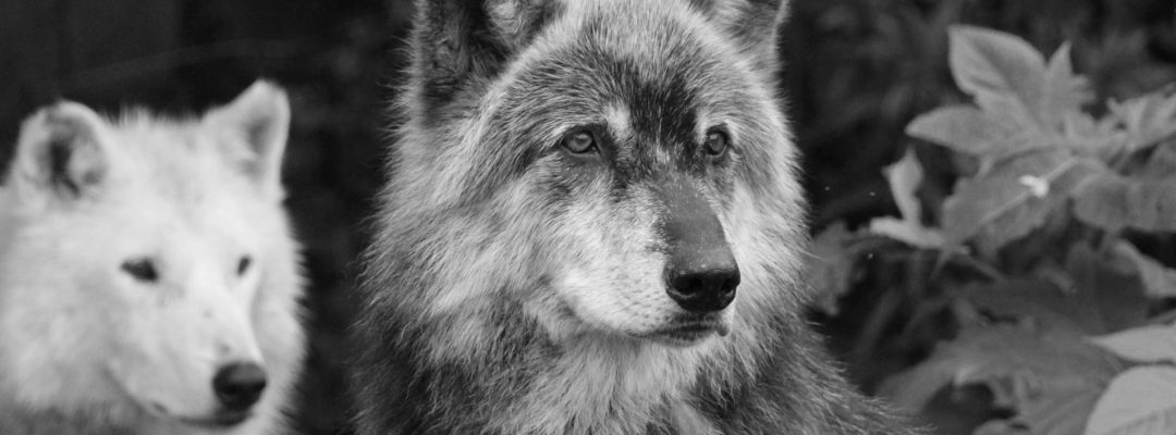 pexels-sinful-77350165-32473174